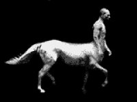 centaur.gif