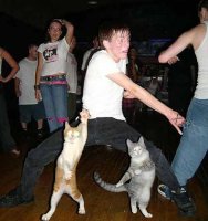 dance cats.jpg