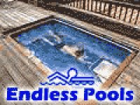 endlesspools120x90b.gif