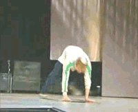 faceplant.gif