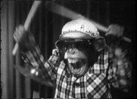 monkey drummer.gif